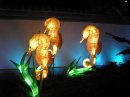 Seahorse lanterns